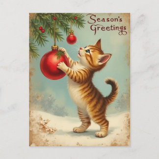Your Own Text Season’s Greetings Kitten Postcard