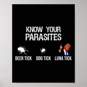 Your Parasites - Deer Tick Poster