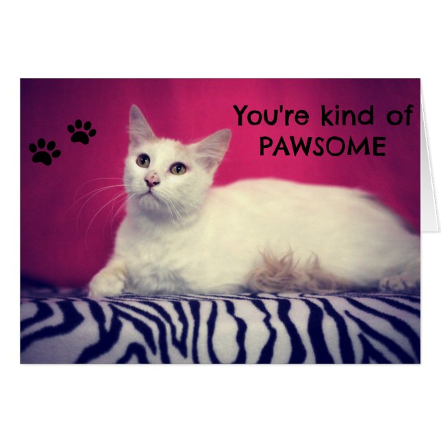 Your Pawsome Love Card (Front Horizontal)