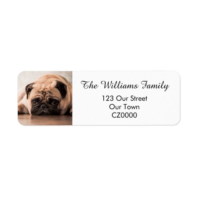 Your Personalised Pet Photo Address (Front)