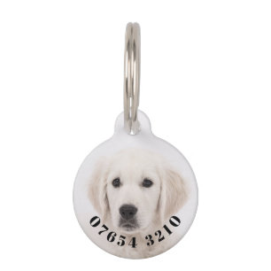 Your pet and phone number on a pet tag