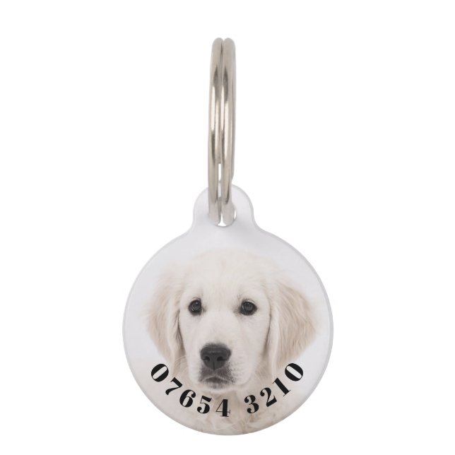Your pet and phone number on a  tag (Front)