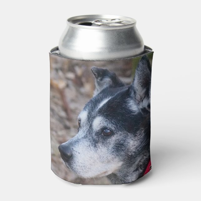 Your pet can cooler (Can Front)