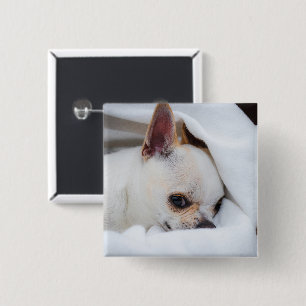 Your pet dog puppy custom photo chihuahua 15 cm square badge