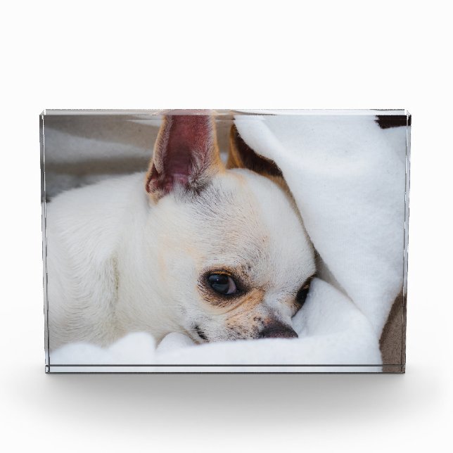 Your pet dog puppy custom photo chihuahua block (Front)