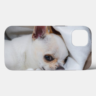 Your pet dog puppy custom photo chihuahua iPhone 13 case
