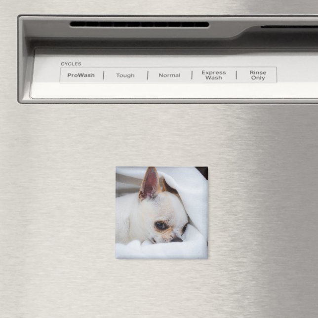Your pet dog puppy custom photo chihuahua magnet (In Situ (Dishwasher))