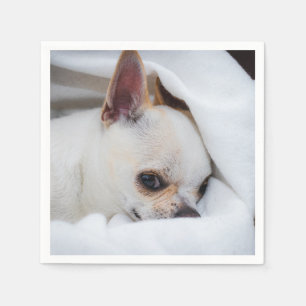 Your pet dog puppy custom photo chihuahua napkin