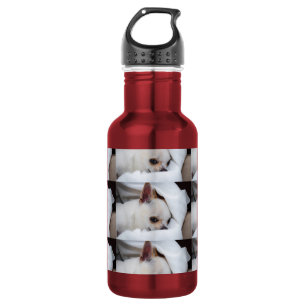 Your pet dog puppy custom photo chihuahua pattern 532 ml water bottle