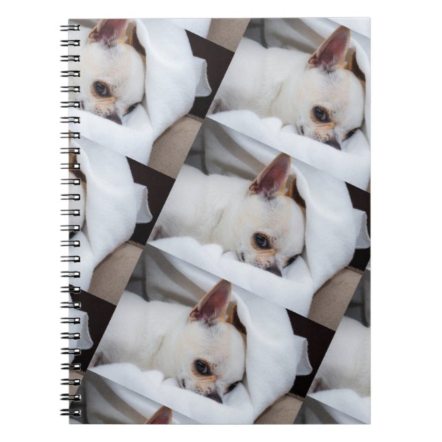 Your pet dog puppy custom photo chihuahua pattern notebook (Front)