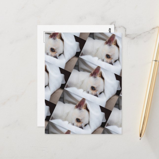 Your pet dog puppy custom photo chihuahua pattern postcard (Front/Back In Situ)