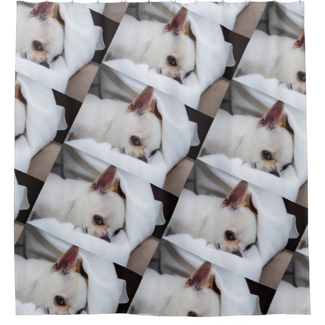 Your pet dog puppy custom photo chihuahua pattern shower curtain (Front)
