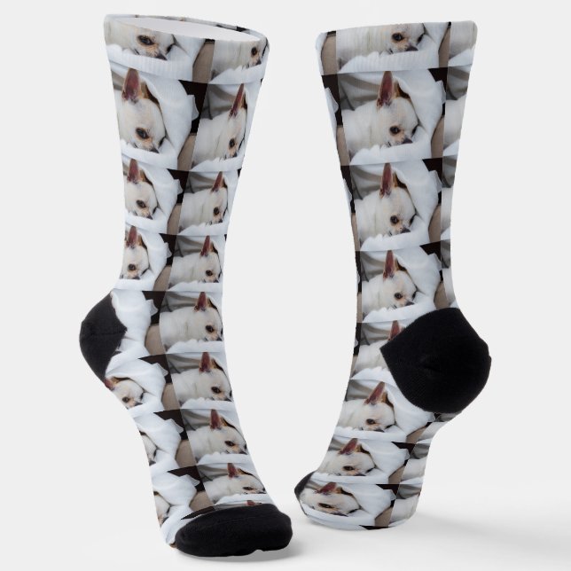 Your pet dog puppy custom photo chihuahua pattern socks (Angled)