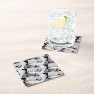 Your pet dog puppy custom photo chihuahua pattern square paper coaster