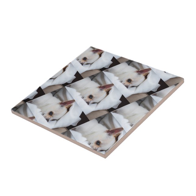 Your pet dog puppy custom photo chihuahua pattern tile (Side)