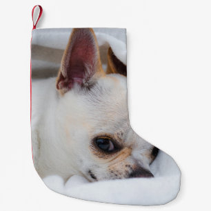 Your pet dog puppy custom photo chihuahua small christmas stocking