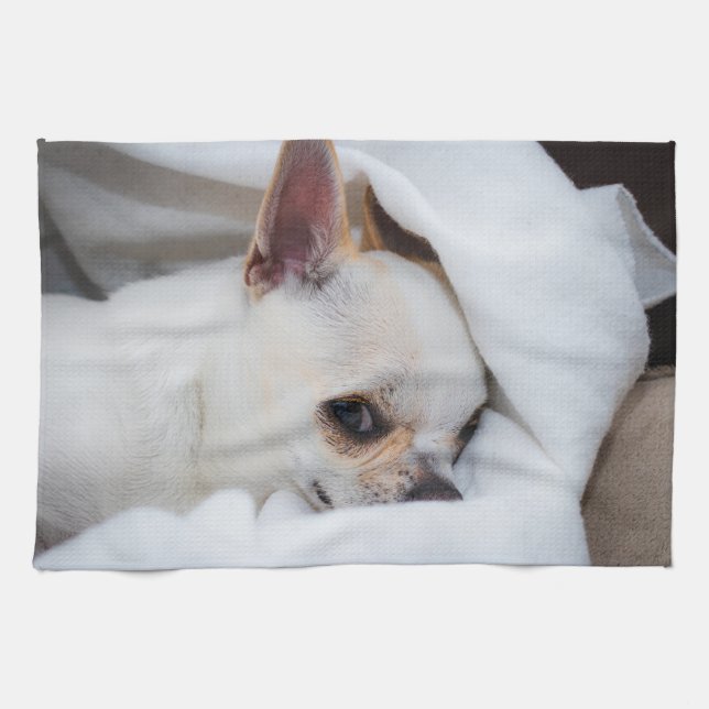 Your pet dog puppy custom photo chihuahua tea towel (Horizontal)