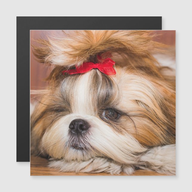 Your pet dog puppy photo gift magnetic card (Front/Back)