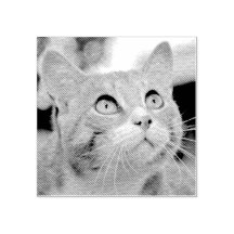 Your Pet Etching | Etched From Photo | Custom