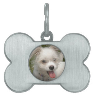 YOUR Pet Image Dog Tag