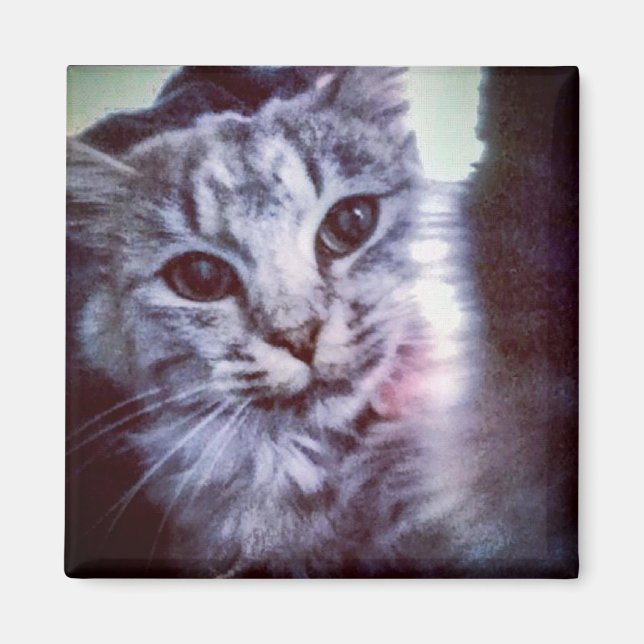 Your Pet Personalised Magnet (Front)