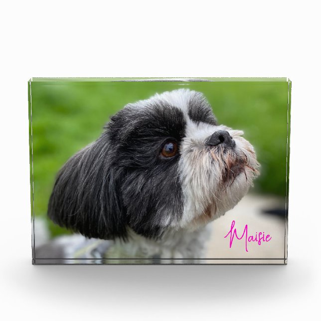 Your Pet Photo Autographed Photo Block (Front)