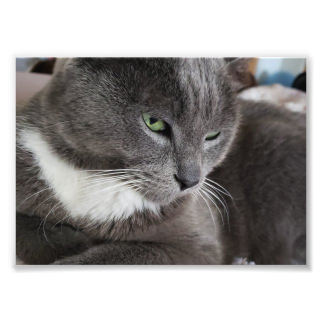 Your pet Photo Enlargement Print (Front)
