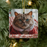Your Pet Photo Funny Christmas Ceramic Ornament<br><div class="desc">Your Pet Photo Funny Christmas Ceramic Ornament</div>