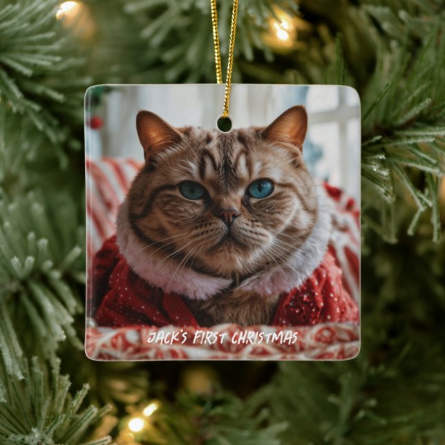 Your Pet Photo Funny Christmas Ceramic Ornament (Tree)