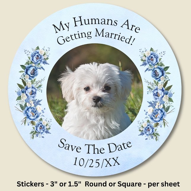 Your Pet Photo - Save The Date -  Blue Peony Set Classic Round Sticker (Creator Uploaded)