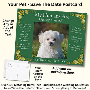 Your Pet Photo Save The Date Emerald Green & Gold Postcard