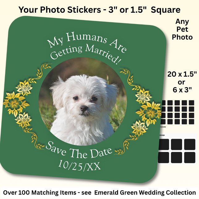 Your Pet Photo, Save The Date, Emerald Green Square Sticker (Creator Uploaded)