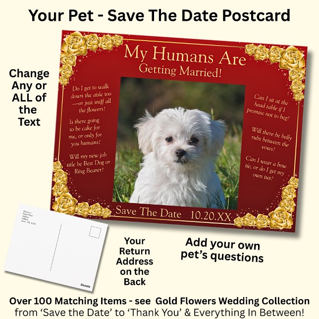 Your Pet Photo Save The Date Gold Roses Maroon Red Postcard (Creator Uploaded)