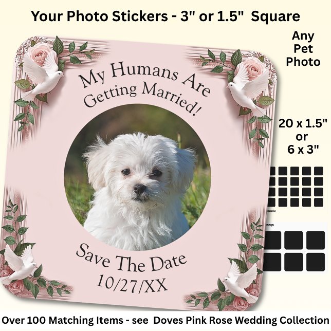 Your Pet Photo, Save The Date, Pink Roses & Doves  Square Sticker (Creator Uploaded)