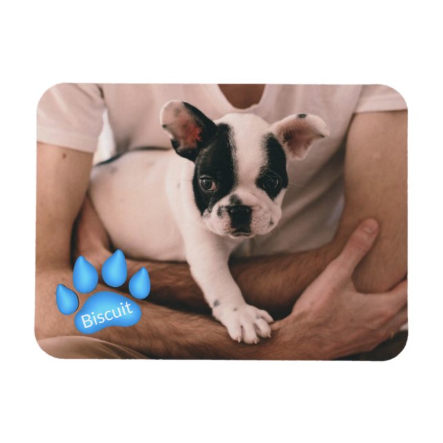 Your Pet Photo with Name in Paw Print Magnet (Horizontal)