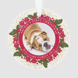 Your Pet's First Christmas Personalised Pet Photo Ornament