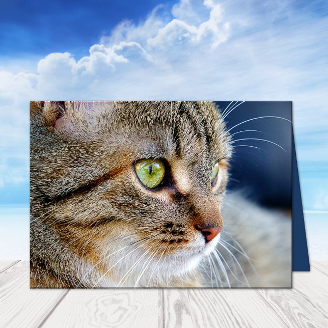 Your Photo Cat Condolences Sympathy Greeting Card (A beautiful cat sympathy card featuring your own photo (optional) with custom comforting texts)