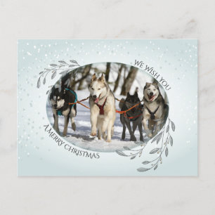 YOUR PHOTO Christmas Foliage and Berries Holiday Postcard