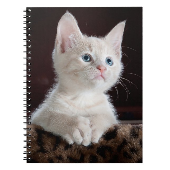 Your Photo Custom Spiral Notebook (Front)