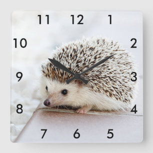 Your Photo Custom Square Clock with Black Numbers