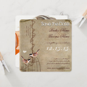 Your Photo Damask Bird Cage Wedding Save the Date Invitation