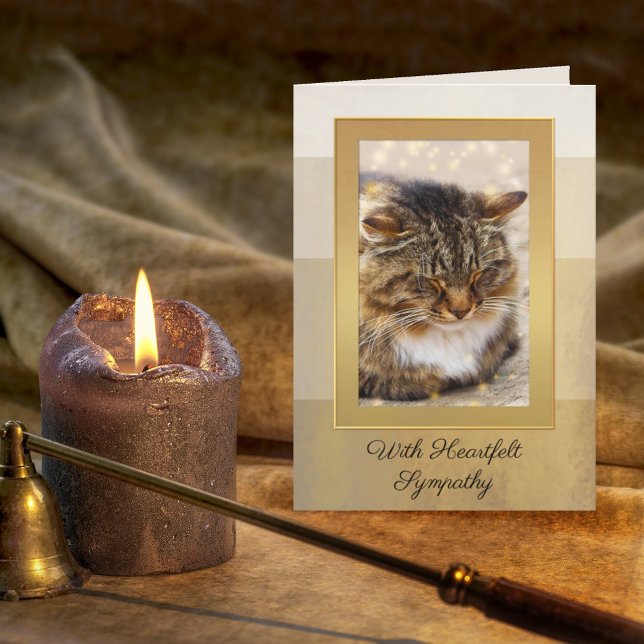 Your Photo Elegant Gold Striped Cat Sympathy Card (Creator Uploaded)