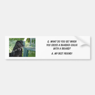 Your Photo Here! My Best Friend Bearded Collie Mix Bumper Sticker