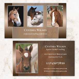 Your Photo Horse Stables or Coaching Business Card