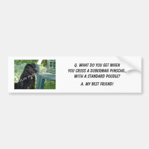 Your Photo! My Best Friend Doberman Pinscher Mix Bumper Sticker