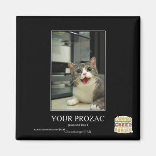 Your Prozac Magnet
