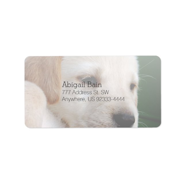 Your Square Image Replaces Yellow Lab Puppy Label (Front)