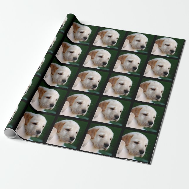 Your Square Photo Replaces Yellow Lab Puppy Wrapping Paper (Unrolled)