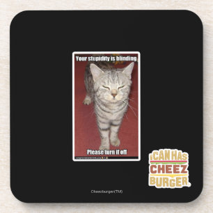 Your stupidity is blinding 2 coaster