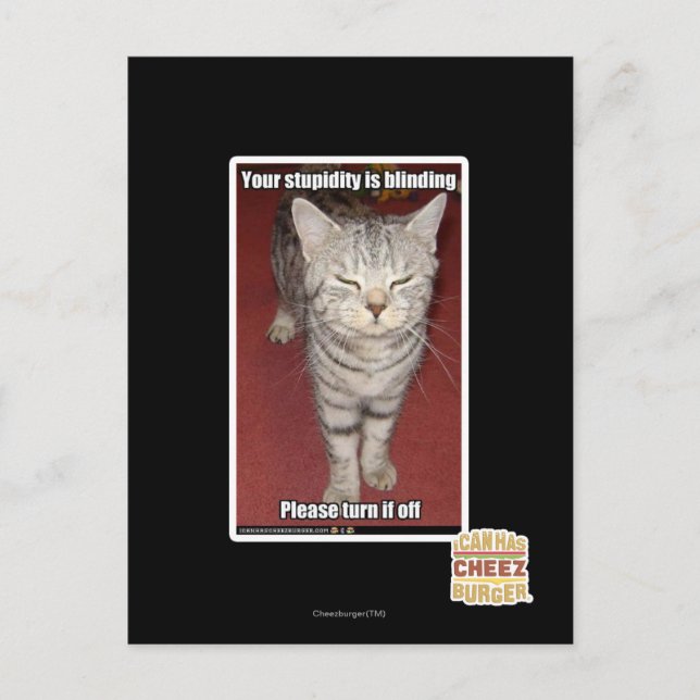 Your stupidity is blinding 2 postcard (Front)